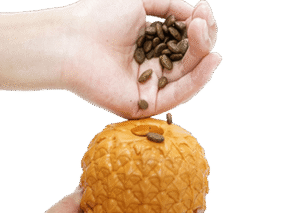 Zabawka dla psa Ananas