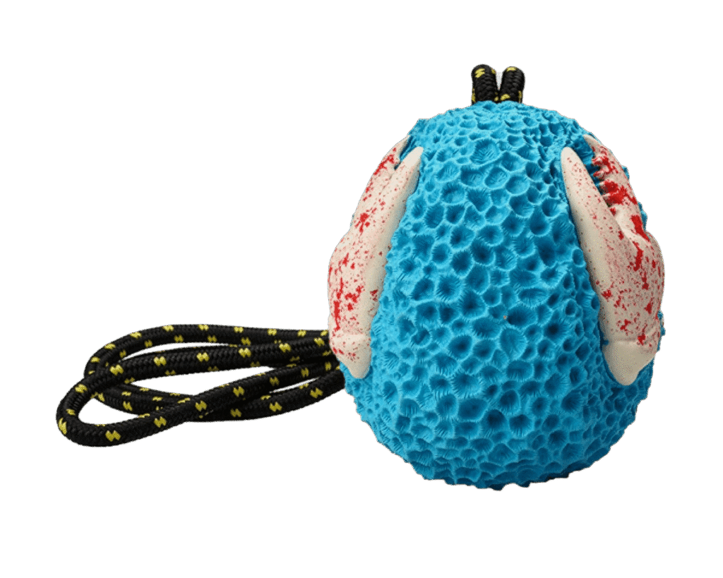 Zabawka dla psa Koralowiec