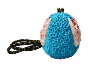 Zabawka dla psa Koralowiec