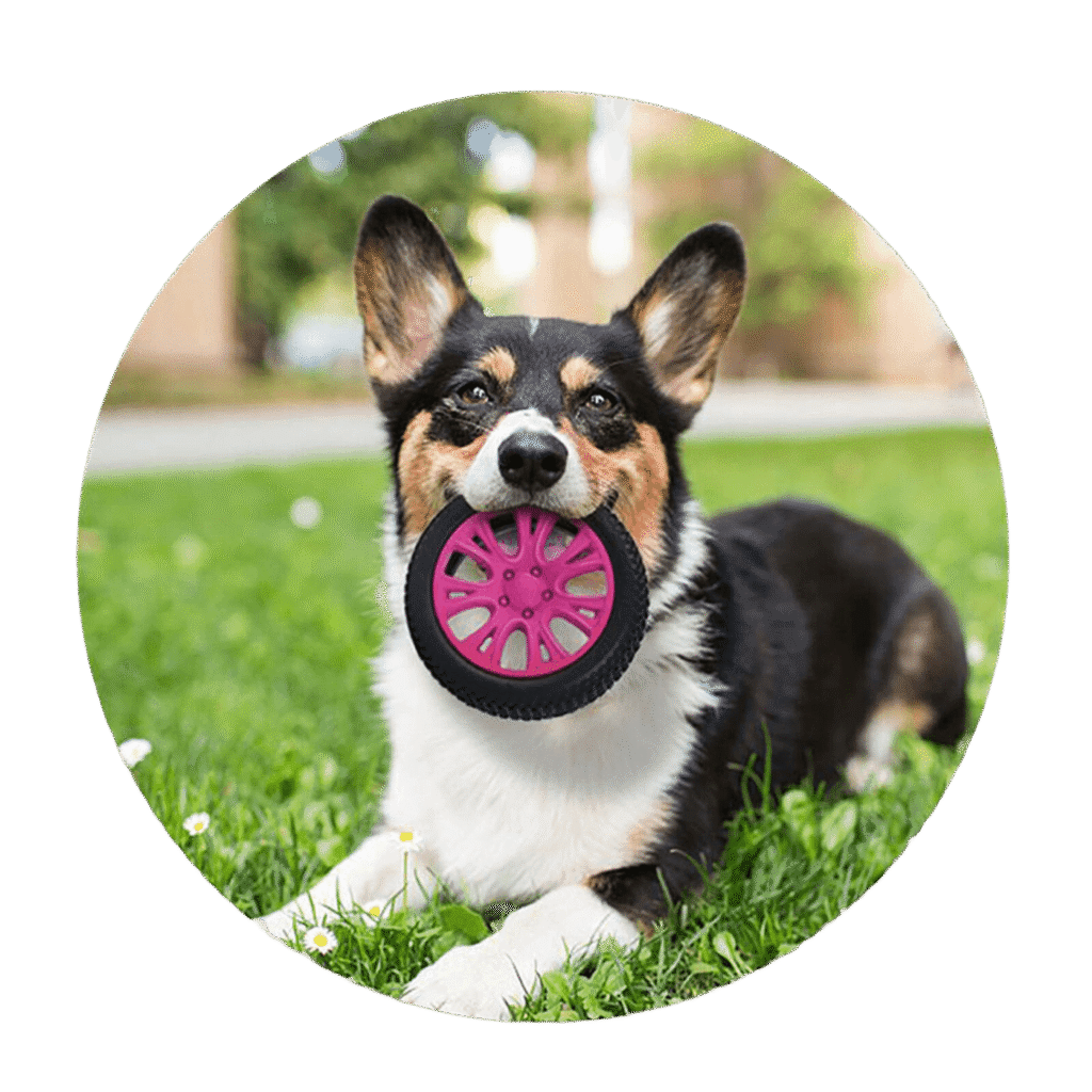 Zabawka dla psa Opona