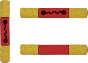 Zabawka dla psa Patyk