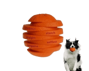 Zabawka dla psa Pomarańcza