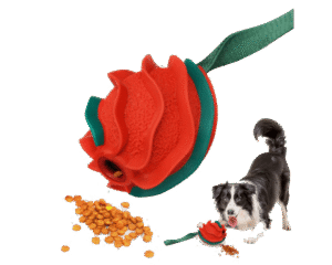 Zabawka dla psa Wiosna