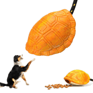 Zabawka dla psa Żółw